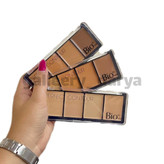 پالت کانسیلر و کانتور چرب. بیواستار biostar. در چهاررنگ در پالت.