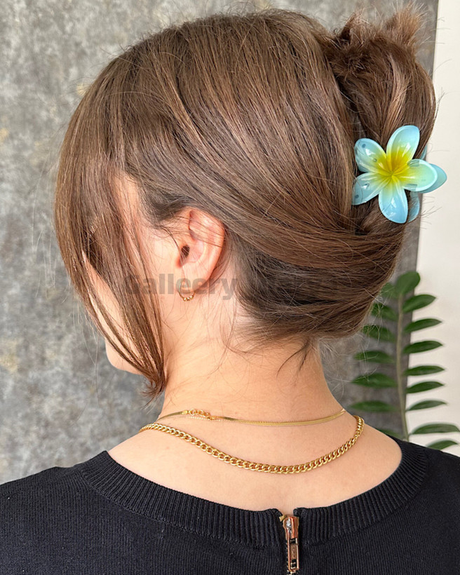 مینی کلیپس پلومریا پینترستی سایز کوچک رنگ آبی