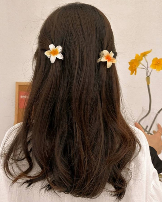 مینی کلیپس پلومریا پینترستی سایز کوچک روی مو