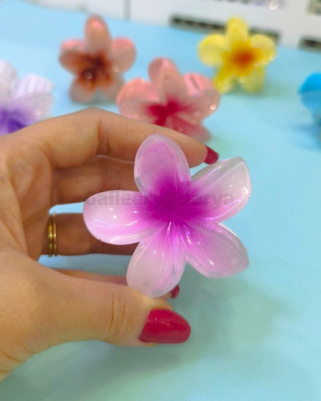 قیمت خرید کلیپس ترند اینستاگرام پلومریا سایز متوسط