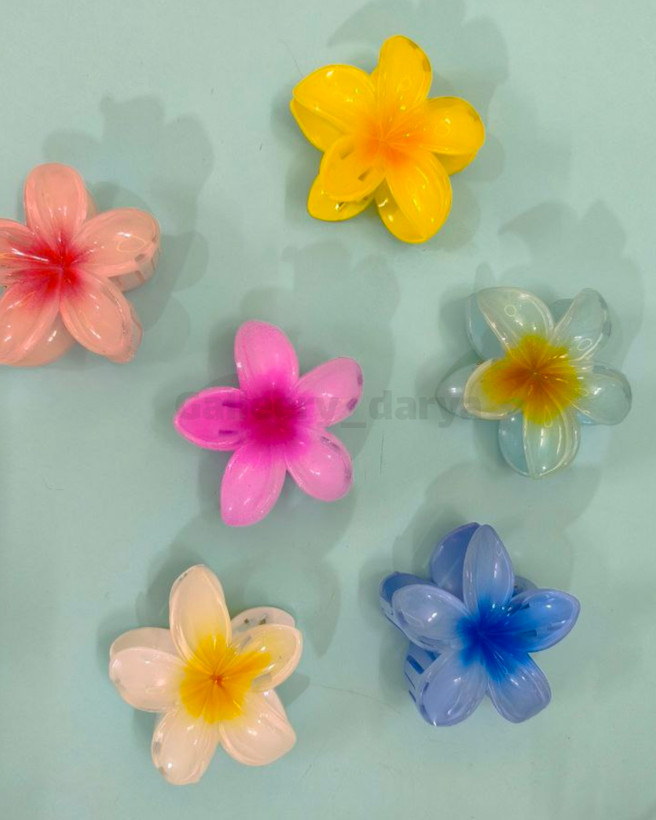 کلیپس پلومریا پینترستی سایز بزرگ