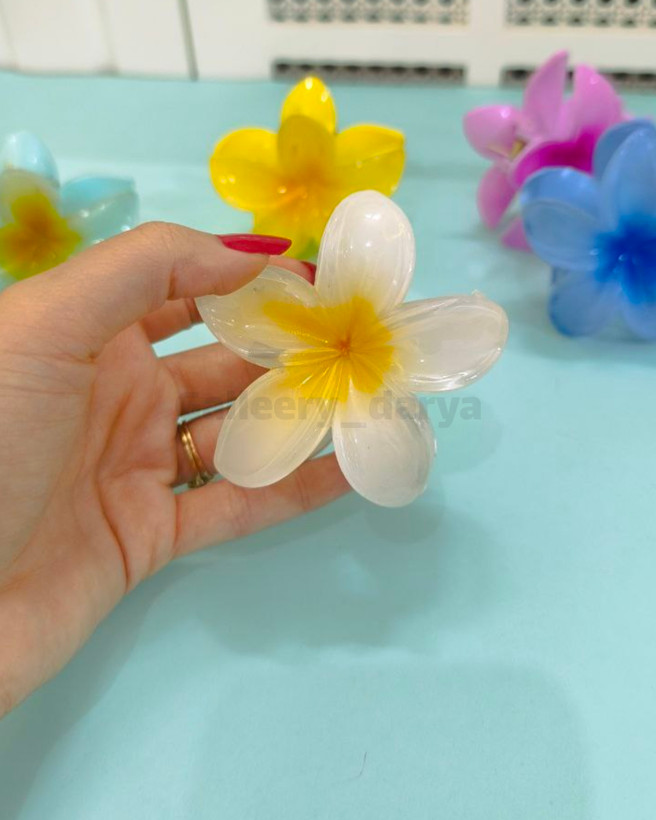 کلیپس پلومریا پینترستی سفید